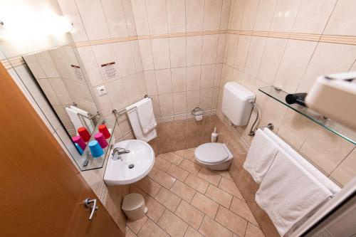 a small bathroom with a toilet and a sink at Apartmaji in sobe RaMar in Straža