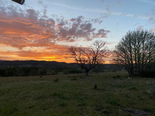 a sunset in a field with two trees in a field at “Casa abella “ in La Magdalena