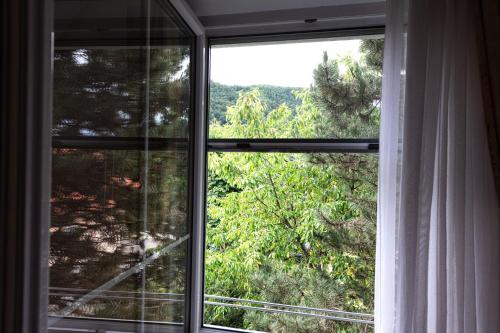 a window with a view of a forest at Apartmaji in sobe RaMar in Straža