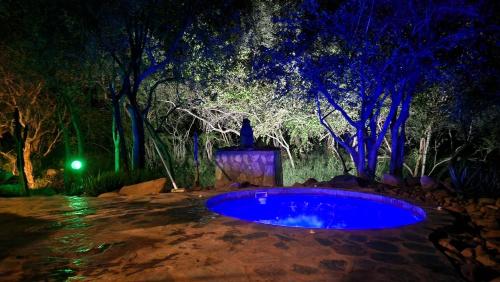 a blue pool in a yard with trees at night at Bona Intaba Game Lodge in Hoedspruit