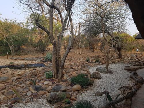 a group of trees and rocks in a field at Bona Intaba Game Lodge in Hoedspruit