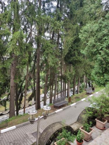 Taman di luar Casa Rosa