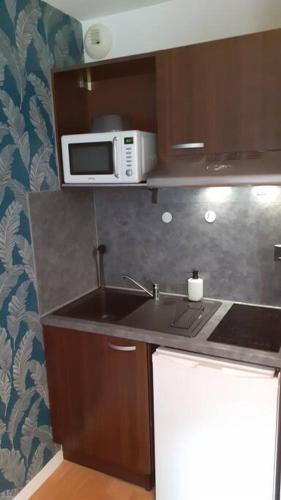 une cuisine avec un évier et un micro-ondes dans l'établissement Studio meublé Mulhouse, à Mulhouse