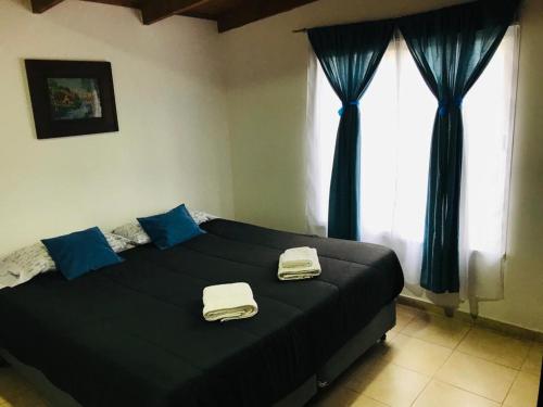 a bedroom with a large black bed with blue pillows at Casita en plottier in Plottier