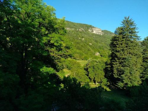 a forest of trees with a hill in the background at Villa des Lucioles 2 in Annot
