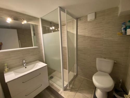 a bathroom with a toilet and a shower and a sink at Le palmier in Saint-Georges-de-Pointindoux