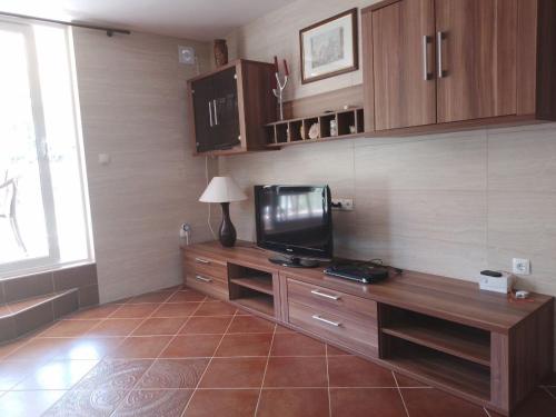 a living room with a television on a wooden table at Krasici Sunhouse in Tivat