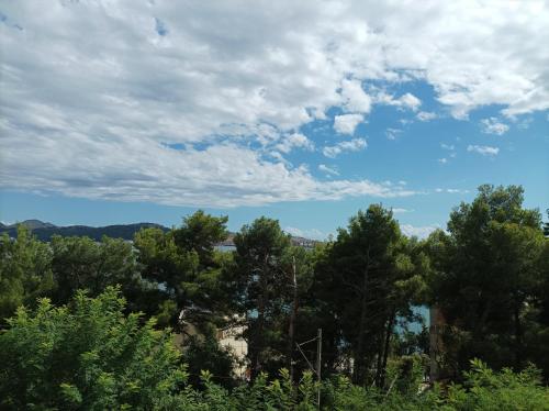 einen Blick auf Bäume und einen wolkigen Himmel in der Unterkunft Joksimović apartmani in Šušanj