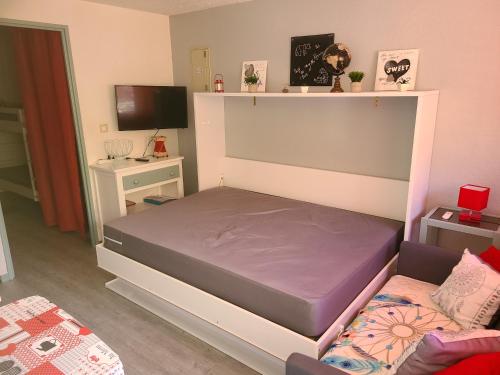 a small bedroom with a bed and a tv at Studio St Lary village-vue montagne. in Saint-Lary-Soulan