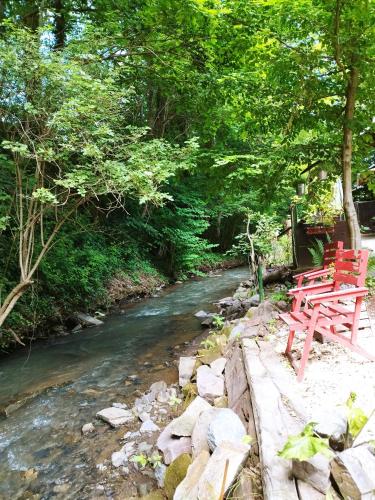 two red benches sitting next to a river at Schmökermühle in Andernach