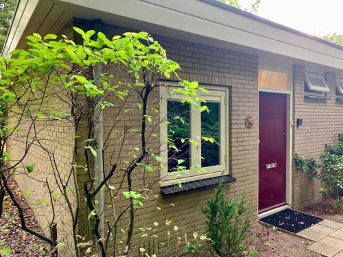 a house with a purple door and a window at Sluwe Vos: ontspannen in het bos! in Otterlo