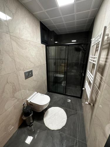 a bathroom with a toilet and a shower and a sink at Ria süit otel bungalov in Rize