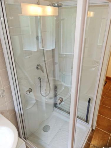 a shower with a glass door next to a toilet at Appartement 60m2- vue sur la montagne in Crans-Montana