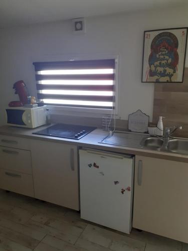 une cuisine avec un évier et un plan de travail dans l'établissement Le nid du parc, à Nantes