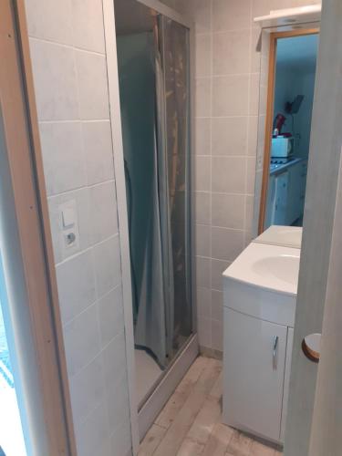 une salle de bain avec douche et lavabo dans l'établissement Le nid du parc, à Nantes