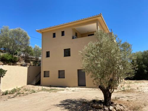 a house with a tree in front of it at CASA JOSEPHINE in Serra-di-Ferro