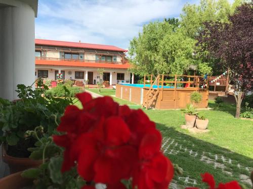 Villa Borka – Photos 2