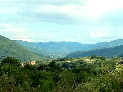 Příroda nedaleko apartmánu