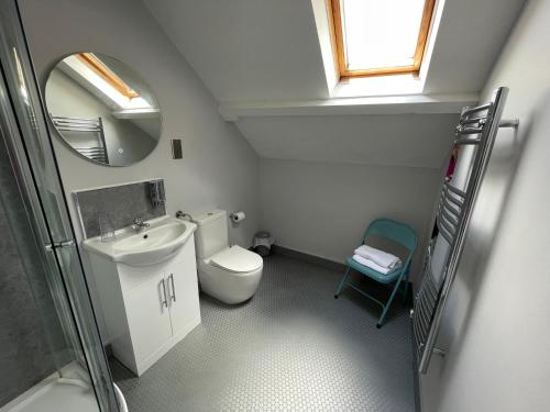 a bathroom with a toilet and a sink and a mirror at Maenllwyd Guest House in Machynlleth