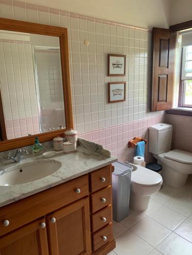 a bathroom with a sink and a toilet and a mirror at Quinta de Santo António in Fonte Bastardo