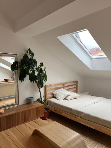 um quarto com uma cama e um vaso de plantas em Sonnige und ruhige Wohnung für entspanntes Reisen em Viena