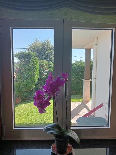 a vase with purple flowers in front of a window at TERRENO DAS MIMOSAS in Aveiro