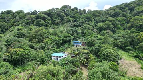 a house in the middle of the forest at VISTA CARIBE in Portobelo