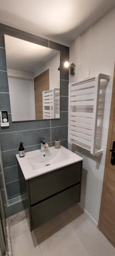 uma casa de banho com um lavatório e um espelho em MyLuberon-Appartement au pied du Luberon em Lauris