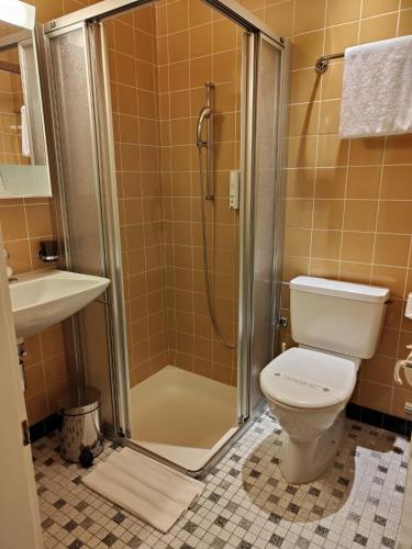 a bathroom with a shower and a toilet and a sink at Elite in Lausanne