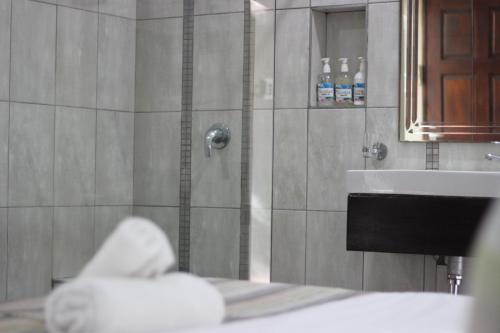 a bathroom with a shower and a sink at Ecolux Boutique Hotel in Komatipoort