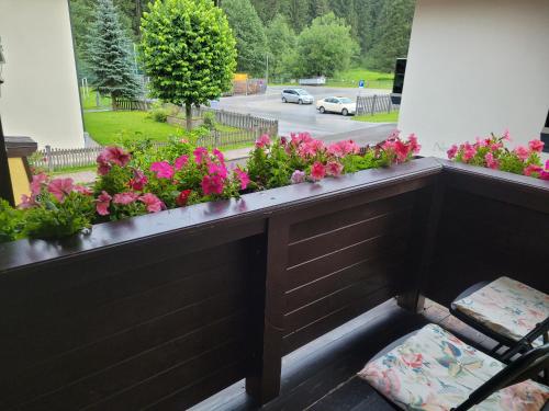 a window sill with flowers and a chair on a balcony at Pension Haus Rohrmoser in Annaberg im Lammertal