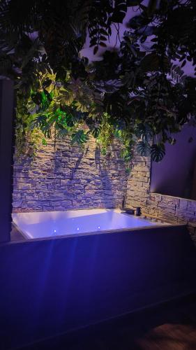 Jungle Room Jacuzzi Privé Évasion en amoureux