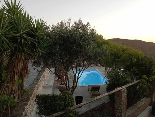 a swimming pool in a garden with a tree at Villa Art Natalie two in Kithnos