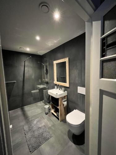 een badkamer met een toilet, een wastafel en een douche bij B & B In Two Hulten in Hulten