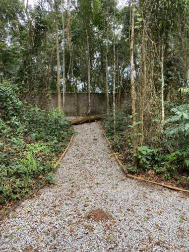 a path in the middle of a forest with trees at Sítio N#1 da Serra Perfeito para famílias com bebês e crianças Piscina aquecida e limpeza incluídos in Teresópolis