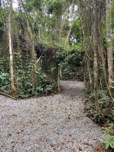 a path in the woods with trees and rocks at Sítio N#1 da Serra Perfeito para famílias com bebês e crianças Piscina aquecida e limpeza incluídos in Teresópolis