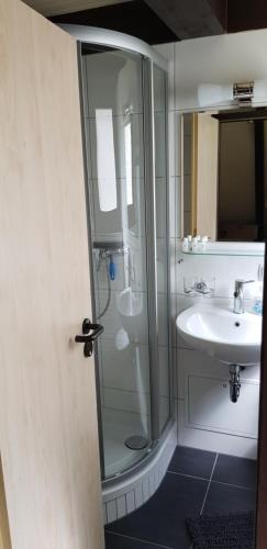 a bathroom with a shower and a sink at Ferienhaus am Wald in Ronshausen
