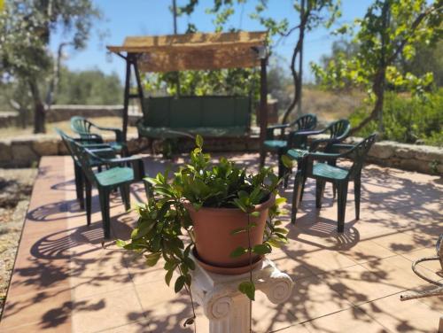 Il roseto di Andrea – Photos 4