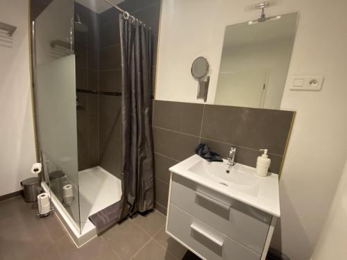 y baño con lavabo y ducha. en # Le 3 # Joli appartement T3 Mulhouse centre, Neuf, calme et tout équipé en Mulhouse