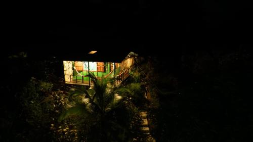 a house at night with a balcony and a plant at Vista Alta Ecolodge Bahia Drake in Drake