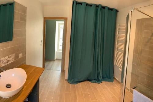 een badkamer met een wastafel en een douchegordijn bij Le gîte de Moulinas in Giffon