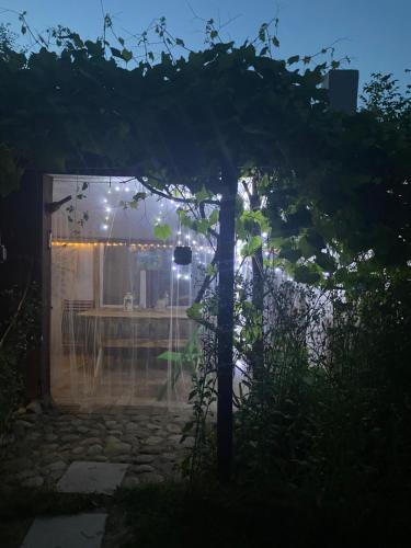 a garden at night with a pergola at Ozierański Eden "Pod rzeźbami" in Krynki