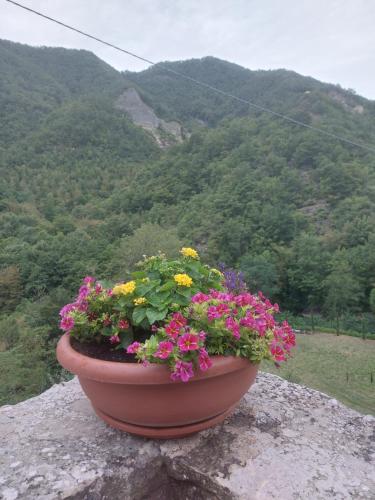 Nespecifikovaný výhled na hory nebo výhled na hory při pohledu z bed and breakfast