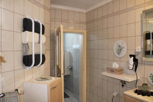 bagno con servizi igienici, lavandino e frigorifero. di Blütenhof Apartment "Zur inneren Balance" a Bad Radkersburg