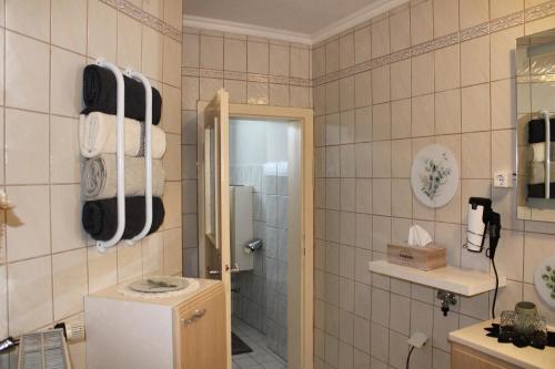 a bathroom with a toilet and a sink and a refrigerator at Blütenhof Apartment "Zur inneren Balance" in Bad Radkersburg