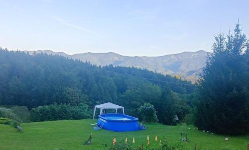 a blue tent in a field with mountains in the background at Apartmaji BORŠTNER in Vransko