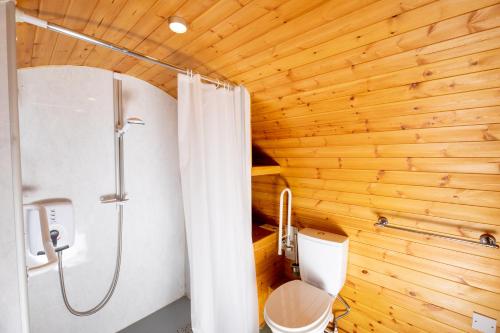 ein Bad mit einer Dusche und einem WC sowie Holzwände in der Unterkunft Ty Grug Pods in Bryngwyn