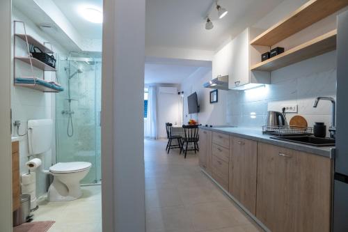 a kitchen with a toilet and a sink and a shower at VINCENT Studio Apartment in Rijeka