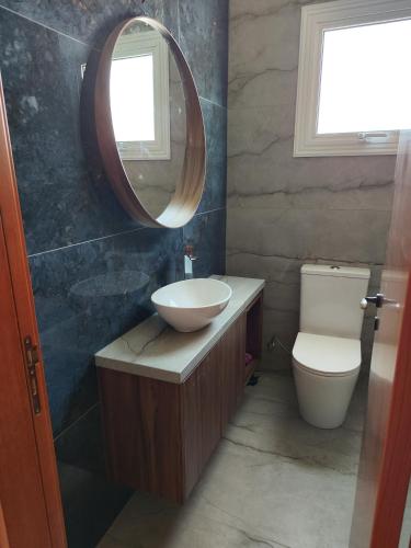 a bathroom with a sink and a mirror and a toilet at My Mythical Pearl in Protaras