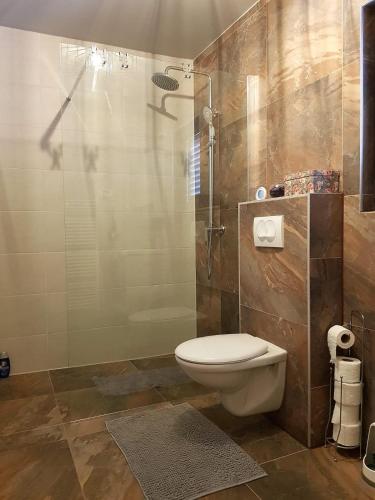 a bathroom with a toilet and a glass shower at 4 you in Lovinac